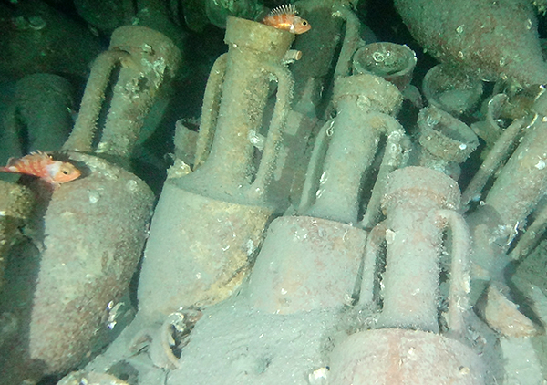 
DAEDALUS 45